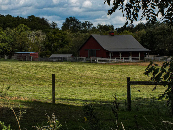 Barn Note Cards