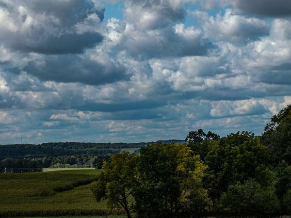 Landscape Note Cards