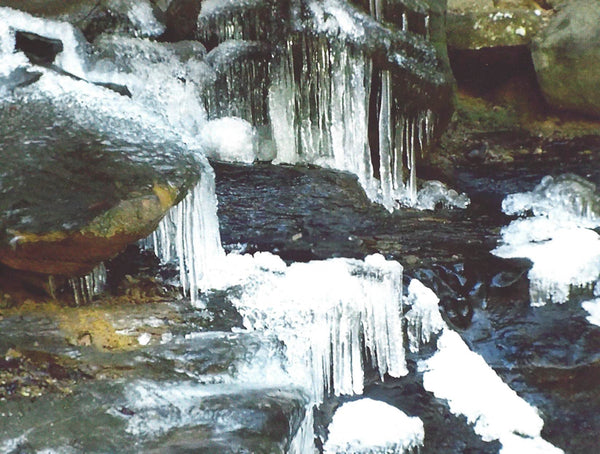Winter Note Cards